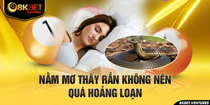 Nằm mơ thấy rắn không nên quá hoảng loạn