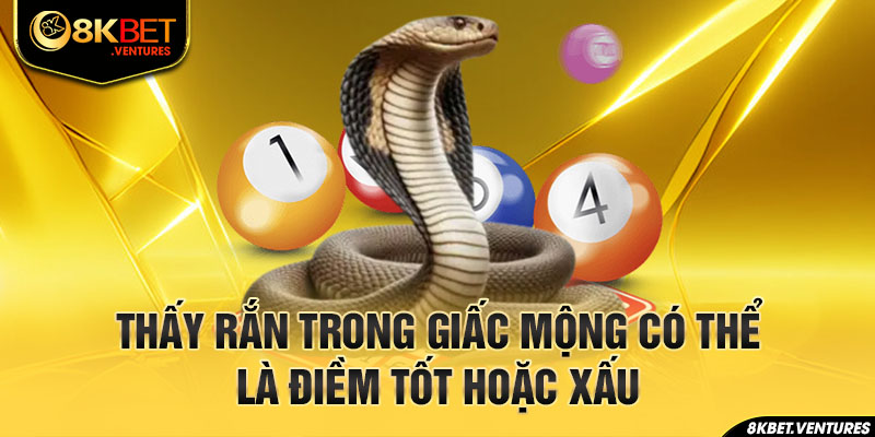 Thấy rắn trong giấc mộng có thể là điềm tốt hoặc xấu