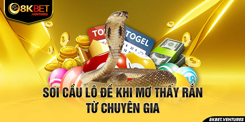 Soi cầu lô đề khi mơ thấy rắn từ chuyên gia