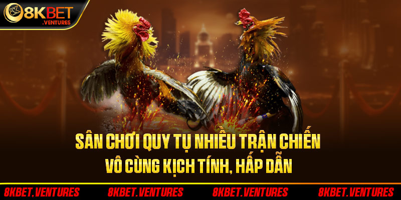 Sân chơi quy tụ nhiều trận chiến vô cùng kịch tính, hấp dẫn